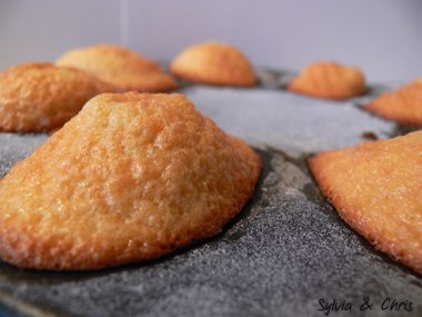 Madeleines de Commercy avec la bosse comme on les aime - Recette