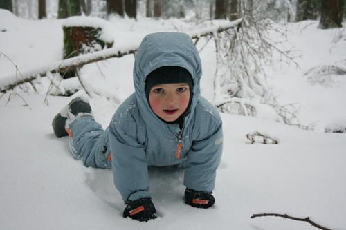 IMG-0482-1-1.jpg