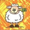 mouton.jpg
