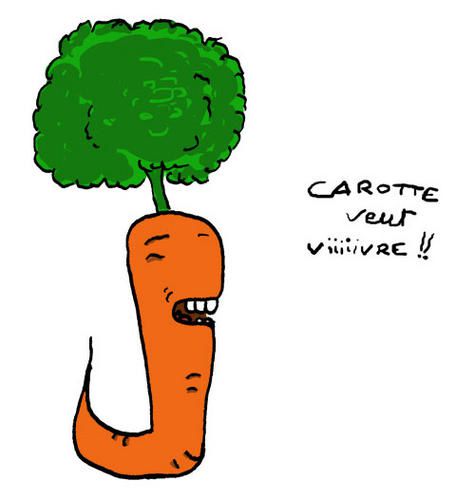 carotte-copie-3.jpg
