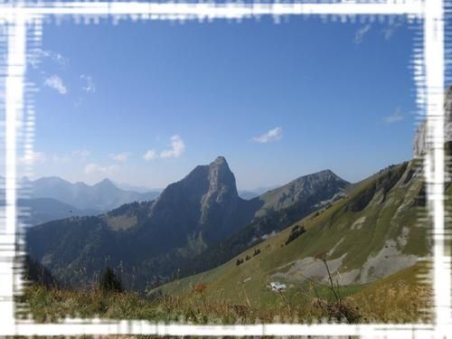 cornettes-2.jpg