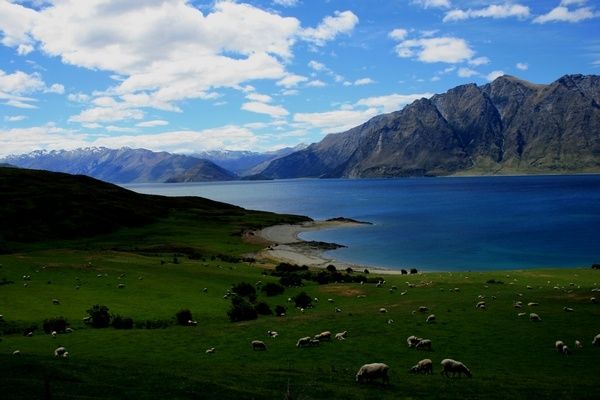 Lake-Hawea.jpg