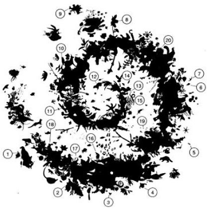 pn 1