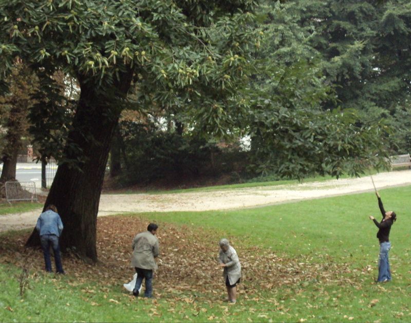 Sans pipi de chien. - le blog equinimod Sans pipi de chien. - le blog equinimod