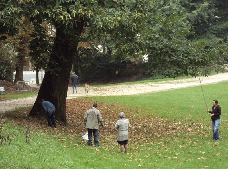 Sans pipi de chien. - le blog equinimod Sans pipi de chien. - le blog equinimod