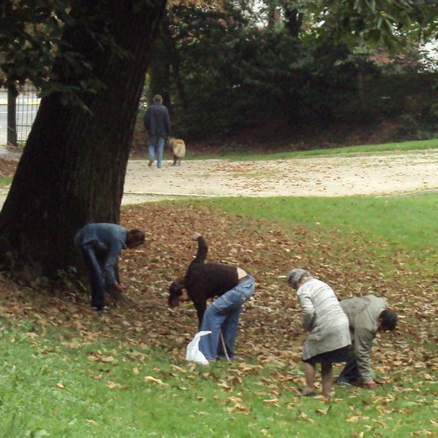 Sans pipi de chien. - le blog equinimod Sans pipi de chien. - le blog equinimod
