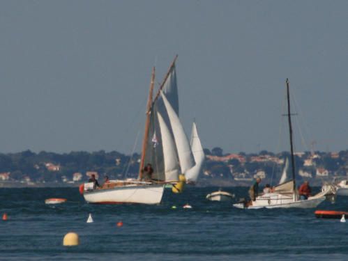 AMPHITRITE-B.jpg
