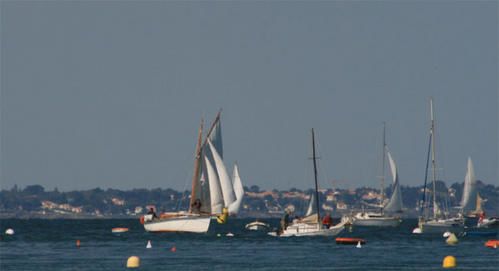 AMPHITRITE-DER-DES-DER.jpg