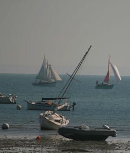 AMPHITRITE-Truquee-mieux.jpg