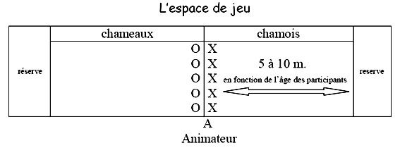 chameaux-chamois2.jpg