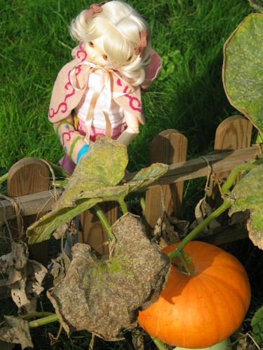 aprem-bjd-025.jpg