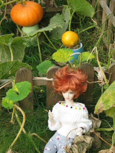 aprem-bjd-026.jpg