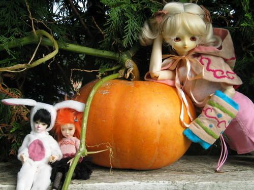 aprem-bjd-029.jpg