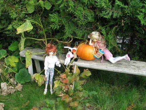 aprem-bjd-033.jpg