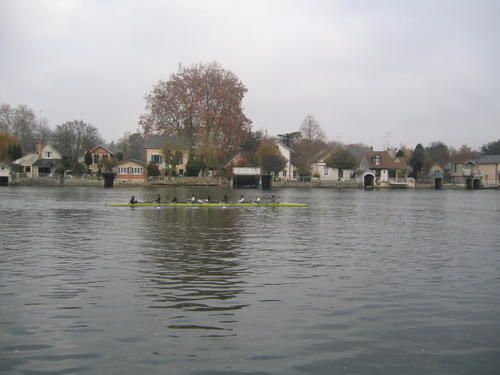 IMG-1987.jpg