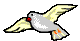 oiseau