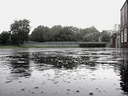 250px-Raindrops.jpg