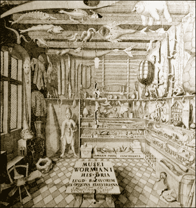http://idata.over-blog.com/0/46/63/90/worm-cabinet-1.gif