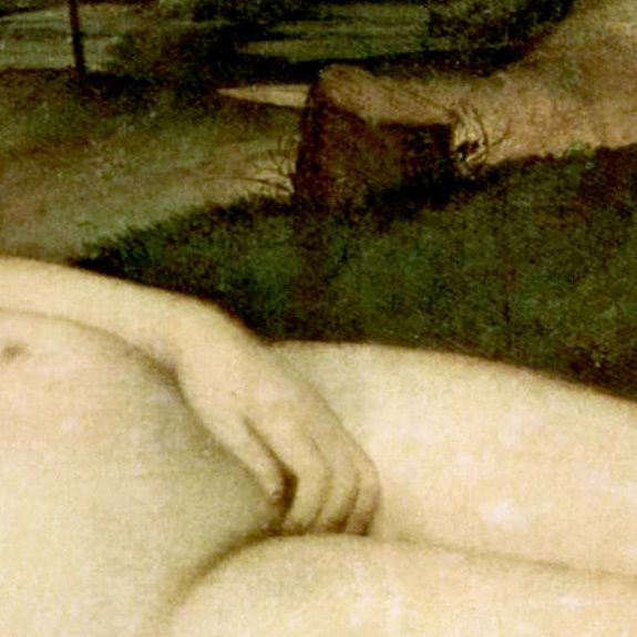 Giorgione_souche.jpg