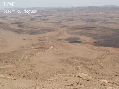 israeldesertdunedev.jpg