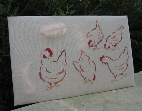 p_ques_-_poules_encadr_es.jpg