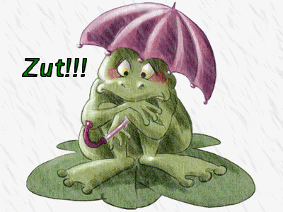 grenouille 21.05.12-pluie--6