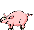 cochon.gif