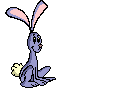 lapin.gif