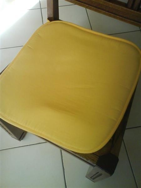 GALETTE DE CHAISE