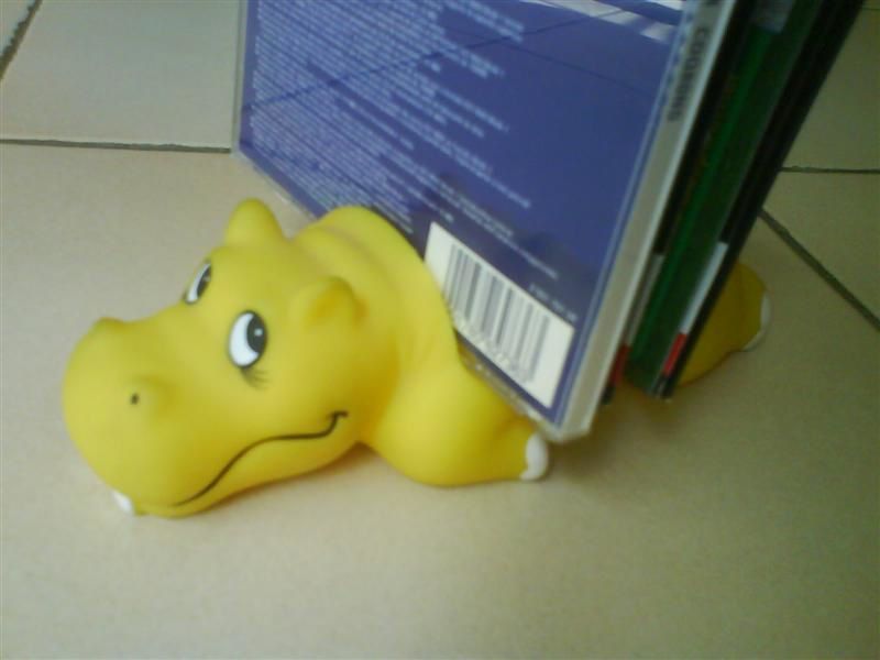PORTE CD HIPPOPOTAME