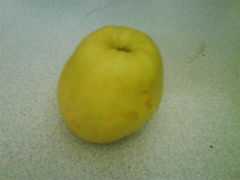 POMME GOLDEN