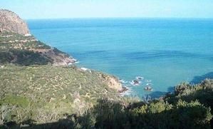 1572-774940132-kabylie071-H153540-L.jpg