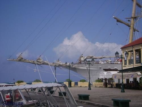 nez-du-star-flyer.jpg