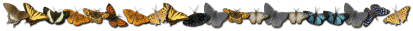 fixe01.gif