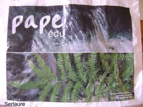 le-sac-EAU.jpg