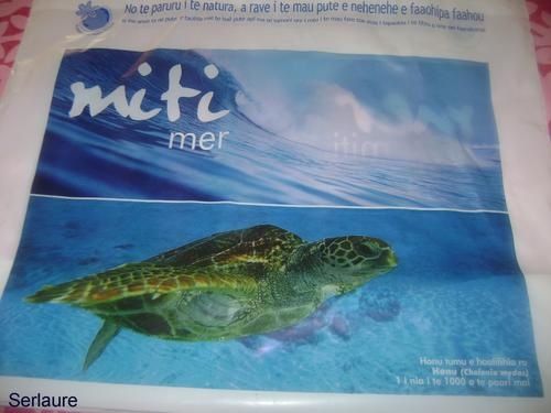 sac-tortue.jpg