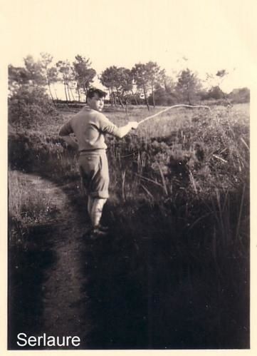 p-che---la-grenouille.jpg