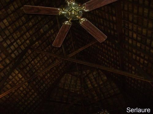 plafond-hawaiki-nui.jpg