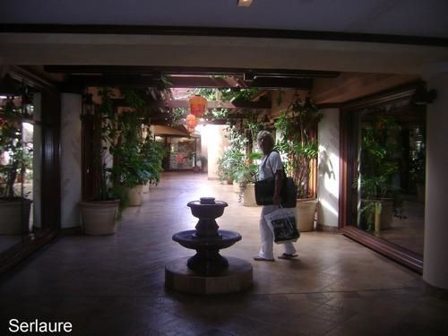 coursive-du-sheraton.jpg