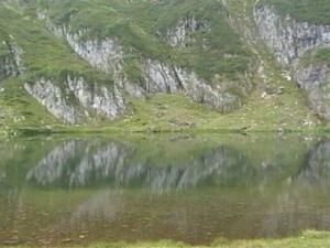 --tang-des-echeylles-2.jpg