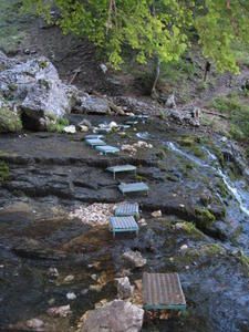 IMG-0097.jpg