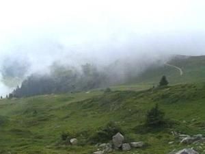 dans-la-brume.jpg