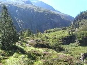 direction-les---tangs.jpg