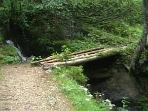 petit-pont.jpg