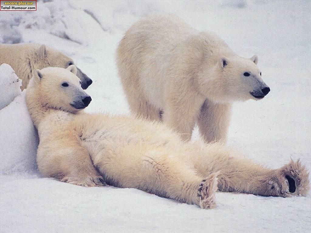ours_relax.jpg