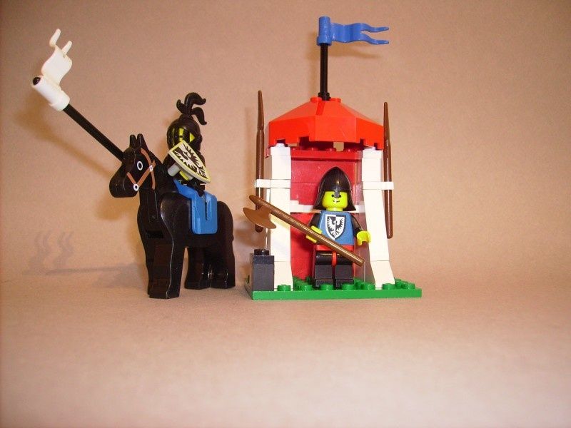 lego de crapounet 11-I-2010--1-