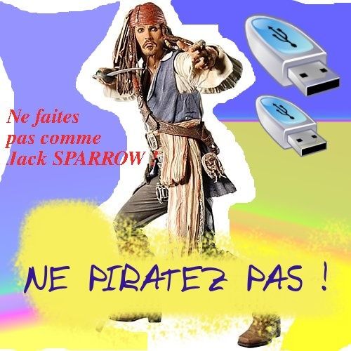 COSsparrow18inch-1-copie-1.jpg