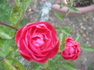 DSC03815.JPG
