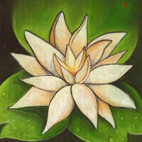 fleurdelotus-lotus-carre-200x200.jpg