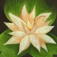 fleurdelotus-lotus-sscont-200x200.jpg